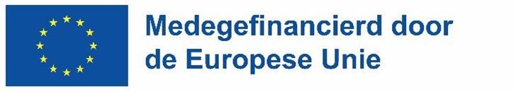 Logo EU: Medegefinancierd door de Europese Unie